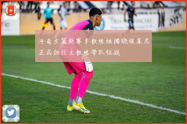 河南女篮新赛季教练组揭晓埃莱尼正式担任主教练带队征战